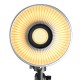 SmallRig RC 100B COB LED Video Light (Version Standard) - 4893