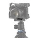 SmallRig plaque de dégagement rapide compatible Arca-type - 2146B