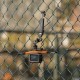 SmallRig Zaunhalterung für Action-Kameras - 5726