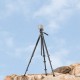 SmallRig Carbon-Reisestativ CT-22 - 5885