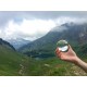  Kristallglas-Kugel Glaskugel für Fotografie