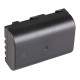 PATONA Batterie Premium DMW-BLF19 pour Panasonic Lumix