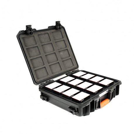 Aputure 12x AL-MC Travel Kit mit charging case