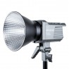 Amaran 100D Videolicht LED 5600k