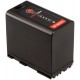 Hedbox batterie RP-BP975 pour Canon XF series et NP900 style