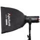 Aputure LS 60 Softbox avec grille