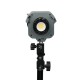 Amaran COB 60d projecteur à LED 5600k